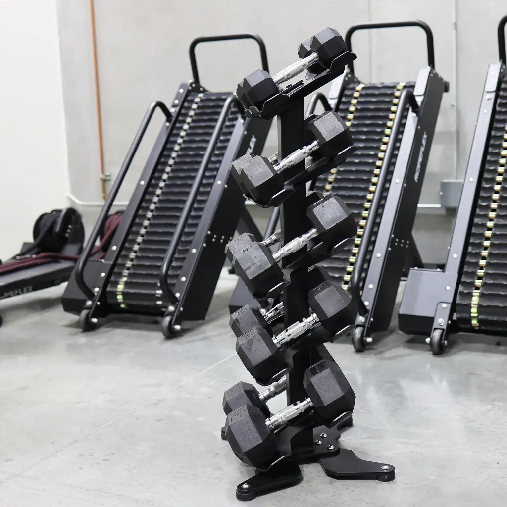 RDS2 DUMBBELL RACK