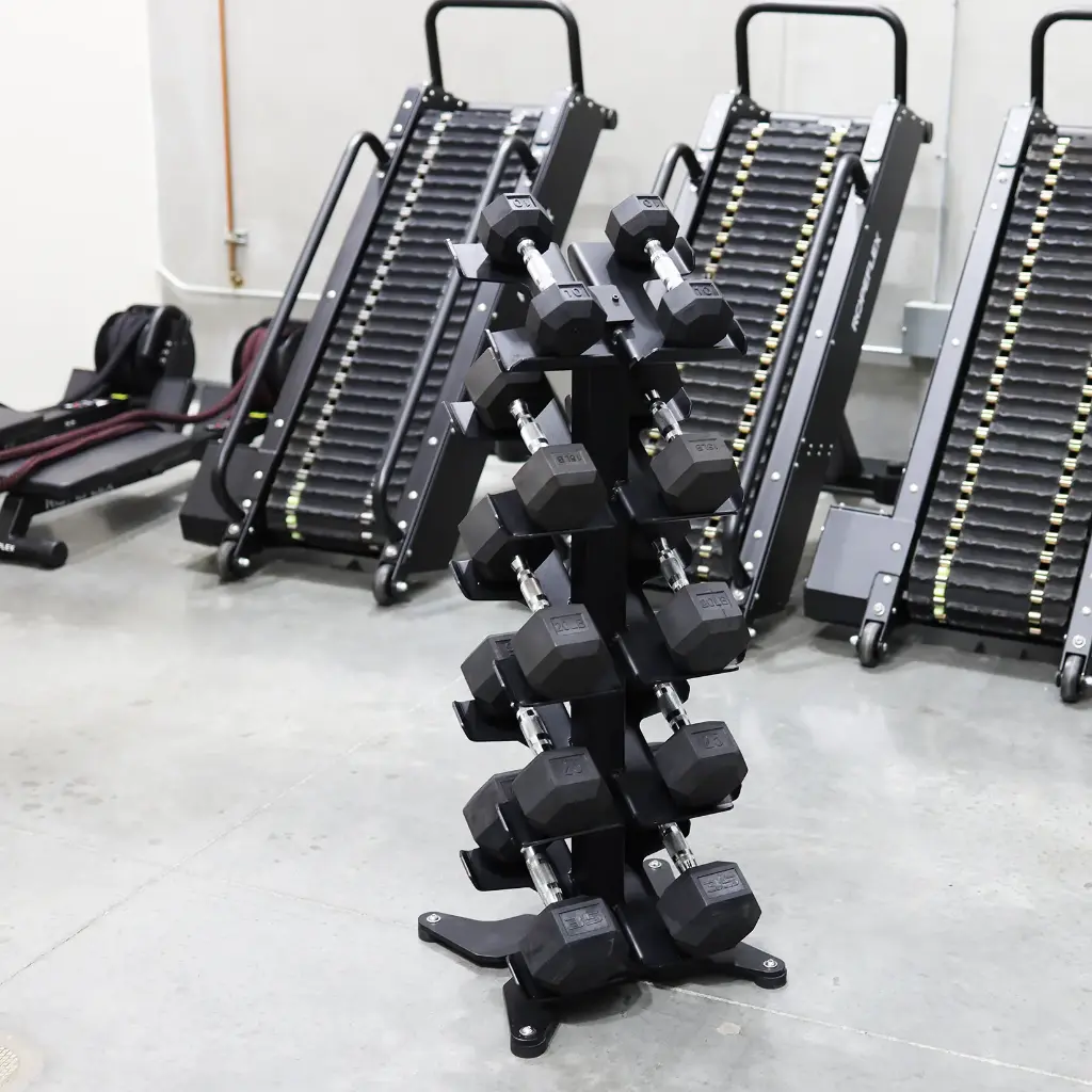RDS2 DUMBBELL RACK