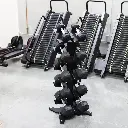 RDS2 DUMBBELL RACK